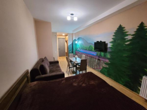Bakuriani City ART FLAT 604